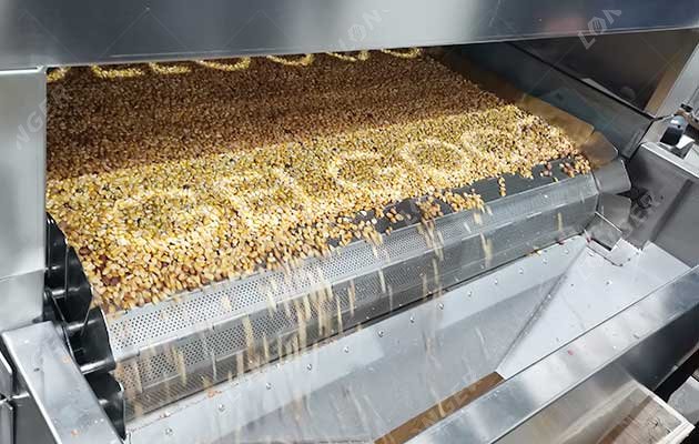 Barley Roasting Machine Large Capacity