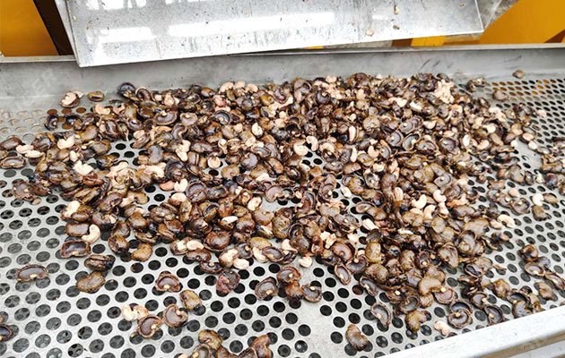 2022 Kaju / Cashew Nuts Shelling Machine