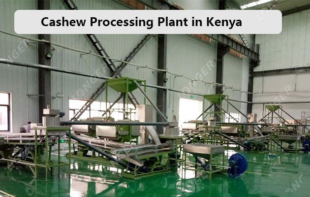 Cashew Processing Plant In Kenya Completed