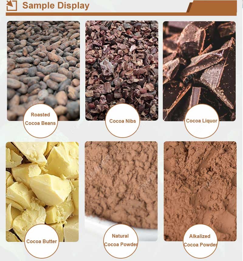 Continuous Cocoa Process Line Factory Price