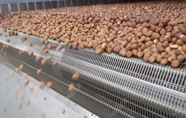 China Nut Roasting Production Line