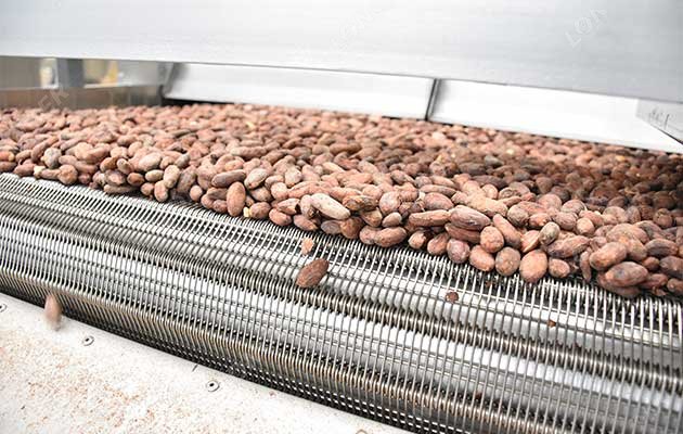 Cocoa Processing Process - Roasting