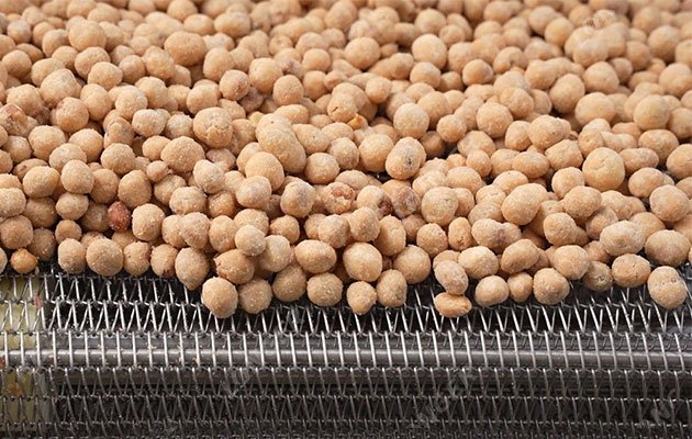 Industrial Peanut Frying Line Manufacturer