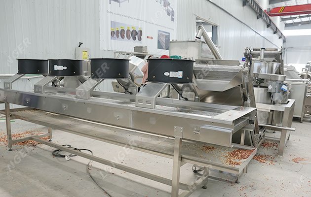 Fried Peanut Processing Line Manufacturer