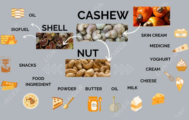 Evaluating the Profitability of Cashew Processing