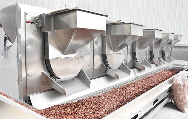Roasting Machine of Peanut Butter Plant