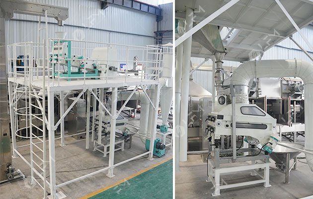 Complete Cocoa Bean Cleaning System Manufacturer