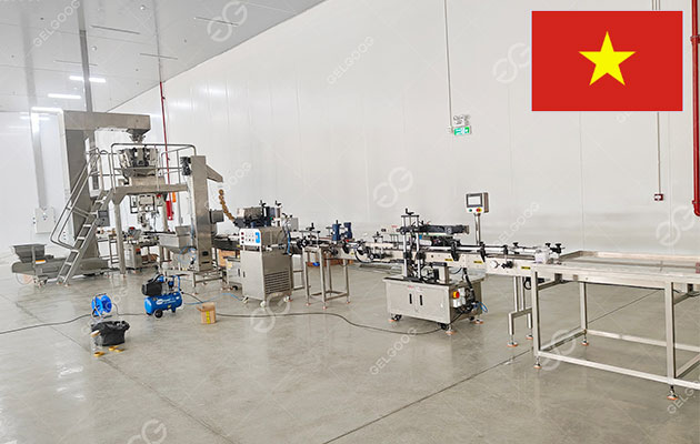 Complete Cashew Roasting and Flavoring Line Delivered in Vietnam