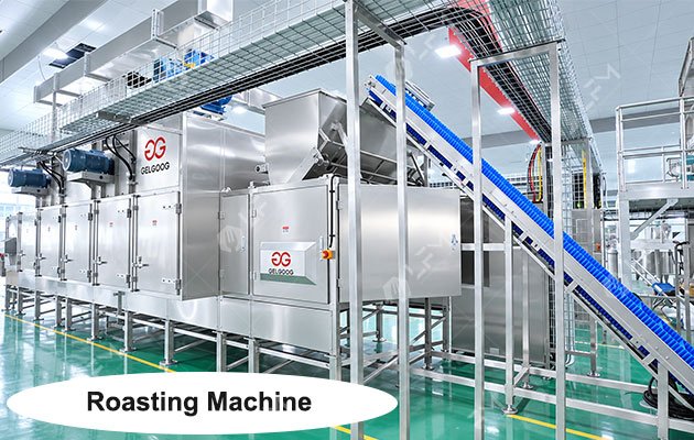 Continous Roasting Machine for Tiger Nuts